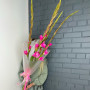 5 малиновых гладиолусов фото 4